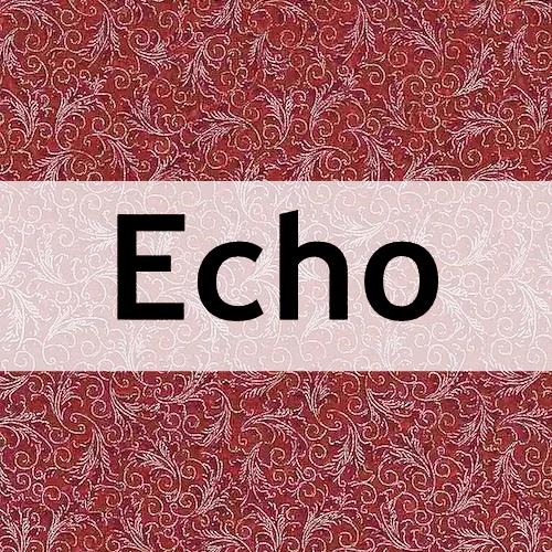 TT Echo
